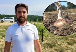 Bilgisayar mühendisi tarlasında yapay zeka kullandı! Ürünün kilosu 50 bin lira!