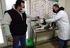 Dikkat! Süre doluyor, yapmazsanız para cezası var