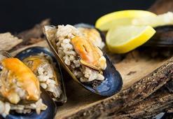 Son dakika... Deniz ürünleri ve midye için yeni açıklama