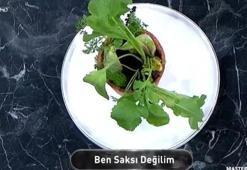 Ben Saksı Değilim yemeği nasıl yapılır? 9 Ocak 2022 MasterChef Ben Saksı Değilim tarifi ve malzemeleri