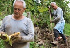 Büyükelçi 6 aydır ülkeye gidemedi, Rize'de bahçe işi yapıyor