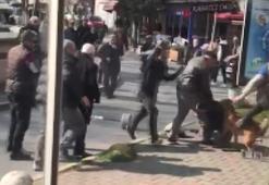 Pitbull dehşeti devam ediyor! İstanbul'un göbeğinde saldırdı