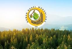OGM personel alımı başvuru şartları neler? Tarım ve Orman Bakanlığı 5 bin işçi alımı ne zaman yapılacak 2022?