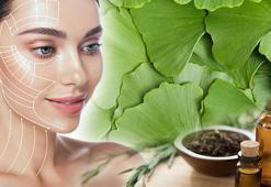Genç bir cilt için yaşlanma karşıtı en iyi 12 bitki ve kullanımı