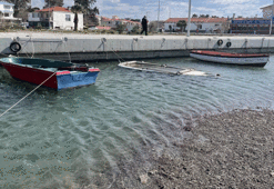 Seferihisar'da vatandaşları ürküten görüntü
