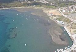 Korkutan görüntü! 3 ilde deniz çekildi, uzmanlardan açıklama