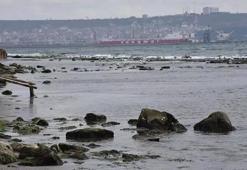 Tekirdağ’da deniz 15 metre çekildi: Kral yolu ortaya çıktı
