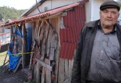 Çok acı haber! Yaşlı adam evinde ölü bulundu