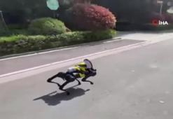 Şanghay'da sokaklarda dolaşan robot köpek gündem oldu