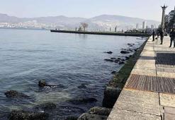 İzmir'de deniz suyu çekildi! Pasaport iskelesi kapatıldı
