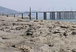 Deniz çekilmeleri vatandaşları korkutmuştu! Açıklama geldi