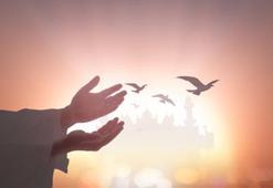 Hz. Süleyman'ın hayatı ve hikayesi! Süleyman peygamberin duası, mucizeleri, özellikleri ve kıssası