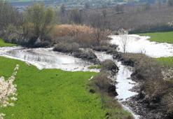 Edirne’de çevre kirliliğine sebep olan zift için çalışma başlatıldı