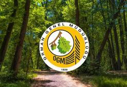 OGM işçi alımı başvuru şartları 2022! İŞKUR Orman Genel Müdürlüğü işçi alımı için başvuru ekranı