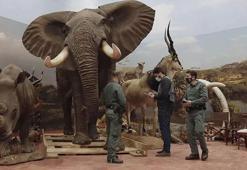 Vahşi doğa depodan çıktı