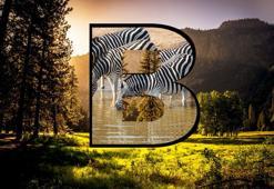 B harfi ile başlayan hayvan isimleri - B ile başlayan hayvan adları nelerdir?