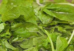 Tüm vücudu temizleyen şifa İbn-i Sina'nın kitabından çıktı! Tıp Kanunu'na giren mucize bitkiler