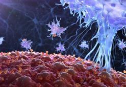 Kanser olma riskinizi nasıl öğrenebilirsiniz?