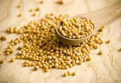 Göbek yağlarını eriten baharat ve yağ yakan kür!