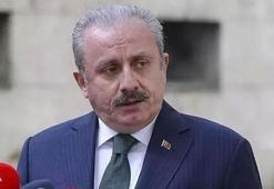 Mustafa Şentop'tan HDP'li vekilin verdiği kanun teklifine tepki!