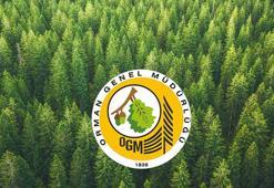 OGM kura sonuçları 2022! Orman Bakanlığı kura sonuçları açıklandı mı? Orman Genel Müdürlüğü 5 bin işçi alımı il il kura tarihleri