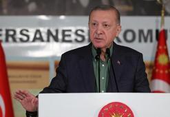 Cumhurbaşkanı Erdoğan: Sorunları aşarak yolumuza devam ediyoruz