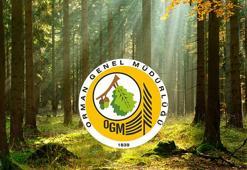 OGM kura sonuçları! Orman Genel Müdürlüğü 5 bin işçi alımı kura sonuçları ve isim listesi açıklandı mı? İşte il il kura sonucu sorgulama ekranı