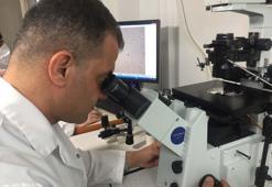 3 boyutlu yazıcı yardımıyla sperm geliştirme çalışmasıyla anne-baba olma umudu