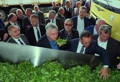 ÇAYKUR'dan çağrı: Çay hasat olgunluğuna ulaştı, taze taze toplanmalı