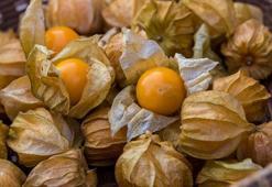 Dünyadaki en yüksek lif oranına sahip meyve oymuş! B1-B2- B3 vitamini deposu! Metabolizma canavarı...