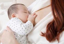 Prof. Dr. Örün: Emziren annede kanser riski azdır