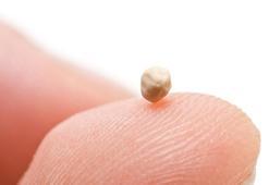 1 çay kaşığı 4 saat boyunca yağ yaktırıyor