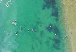 Kızılırmak'ta kaybolan genci 70 kişilik ekip arıyor