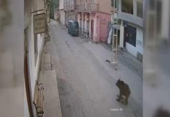 Karşısına çıkan ayıyı bağırarak korkutup kaçırdı