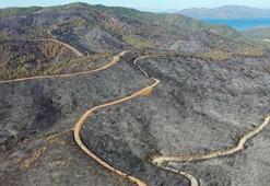 Akşam Postası | 25 Haziran 2022