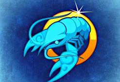 Yengeç burcu Su grubu mu? Arkadaşlık uyumu nasıl? Nelerden hoşlanır?