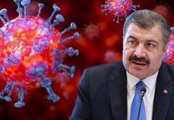 Bakan Koca'dan vaka artışlarıyla ilgili flaş açıklama