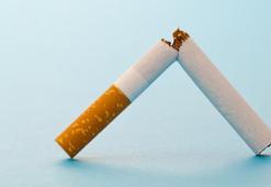 Yeni Zelanda'dan sigara kararı: Dünyada bir ilk!