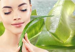 Cilt için bir mucize... Aloe vera cilde nasıl uygulanır?