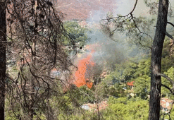 Akşam Postası | 29 Temmuz 2022