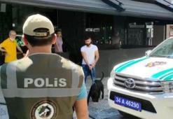 Kadıköy’de köpek saldırısı! Sahibine para cezası yağdı