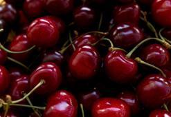 Vişne çekirdeği yağının faydaları nelerdir? Ne işe yarar, nasıl kullanılır?