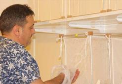 Ölümcül kategorideki hastalıkları bulaştırabiliyorlar! 'Aedes' tehlikesi yayılıyor