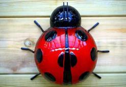 Rüyada böcek görmek ne anlama gelir? Rüyada böcek öldürmek nasıl yorumlanır, neye işarettir?