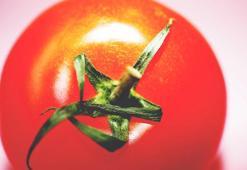 Rüyada domates görmek ne anlama gelir? Rüyada domates yemek nasıl yorumlanır, neye işarettir?