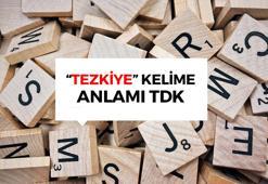 Tezkiye nedir? Tezkiye ne demek TDK? Tezkiye örnekleri...