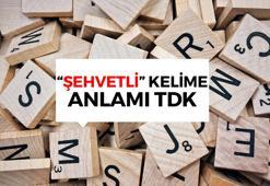 Şehvetli nedir? Şehvetli ne demek TDK? Şehvetli sözlük anlamı...
