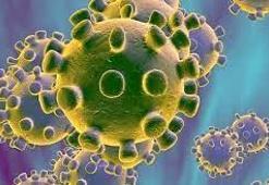 Dünya diken üzerinde! Yeni salgın alarmı: Domates gribi