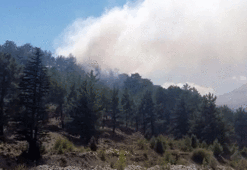 Antalya'da orman yangını