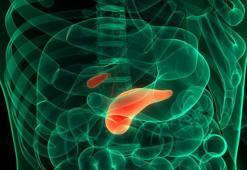 Pankreas iyi çalışmazsa ne olur? İşte pankreasın vücuttaki kritik önemi!